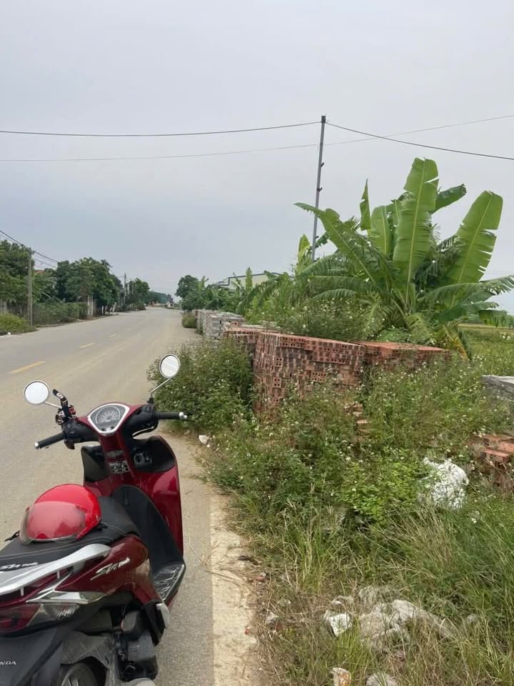 Đất nền An Mỹ Hưng Hà 100m² - Chính chủ bán gấp giá thỏa thuận!