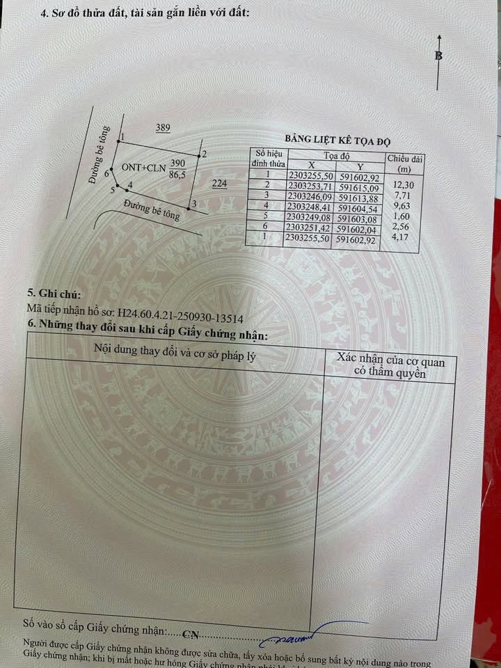 Đất nền góc 86,5m² tại Quang Phục, Tứ Kỳ - Giá thỏa thuận hấp dẫn!