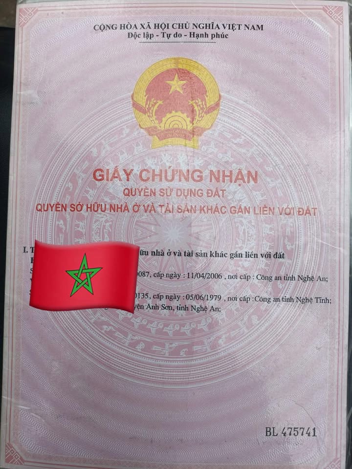 Đất Phúc Sơn Anh Sơn 260m² giá 7 tỷ - Đường chính thuận lợi