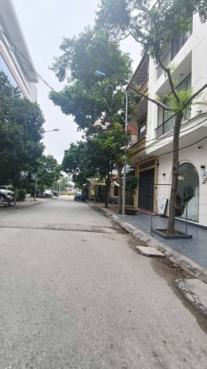 Đất nền Tân Bình, Hải Dương 60m² giá 3 tỷ - Vị trí trung tâm đẹp!