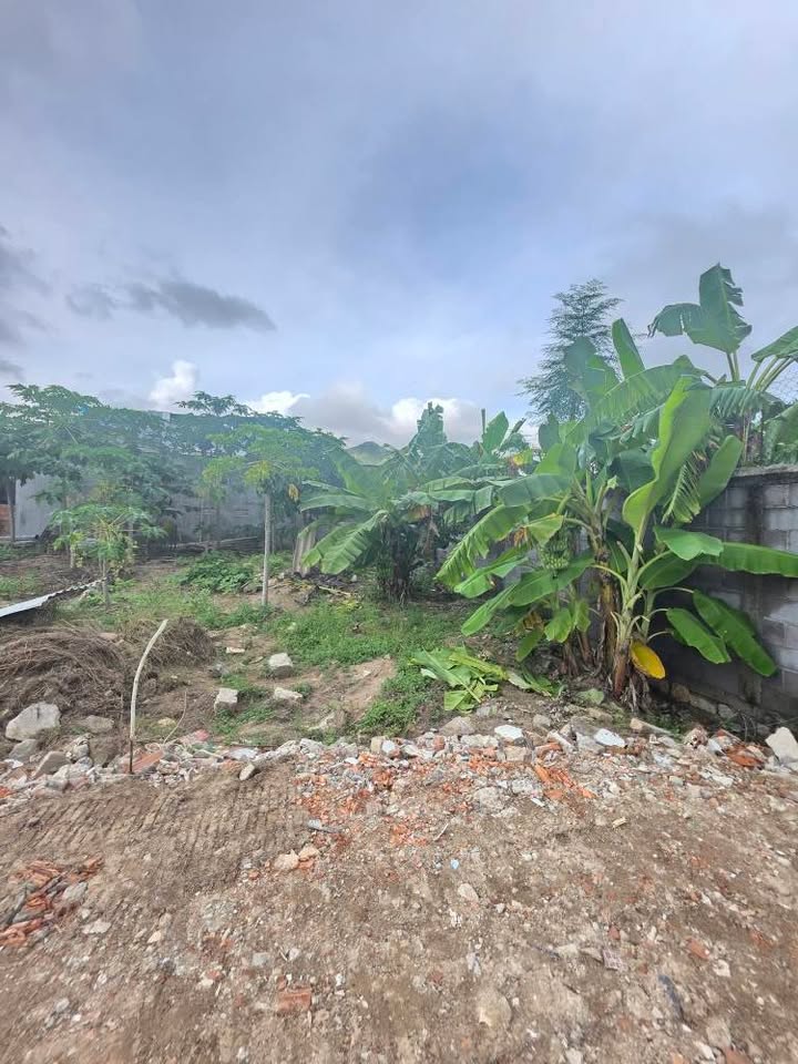 Đất nền Vĩnh Ngọc Nha Trang 80.7m² giá 1.55 tỷ - Đường ô tô tận nơi!