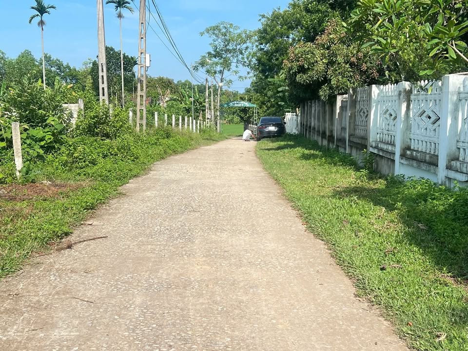 Đất nền Hợp Tiến, Triệu Sơn 150m² giá chỉ 200 triệu - Cơ hội đầu tư hấp dẫn!