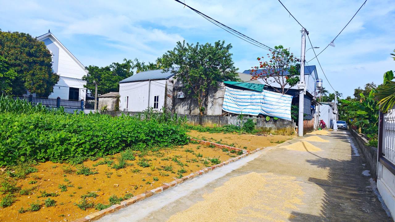 Đất Hòa Thạch Quốc Oai 999m² giá thỏa thuận - Mặt tiền 50m, đầu tư tiềm năng!