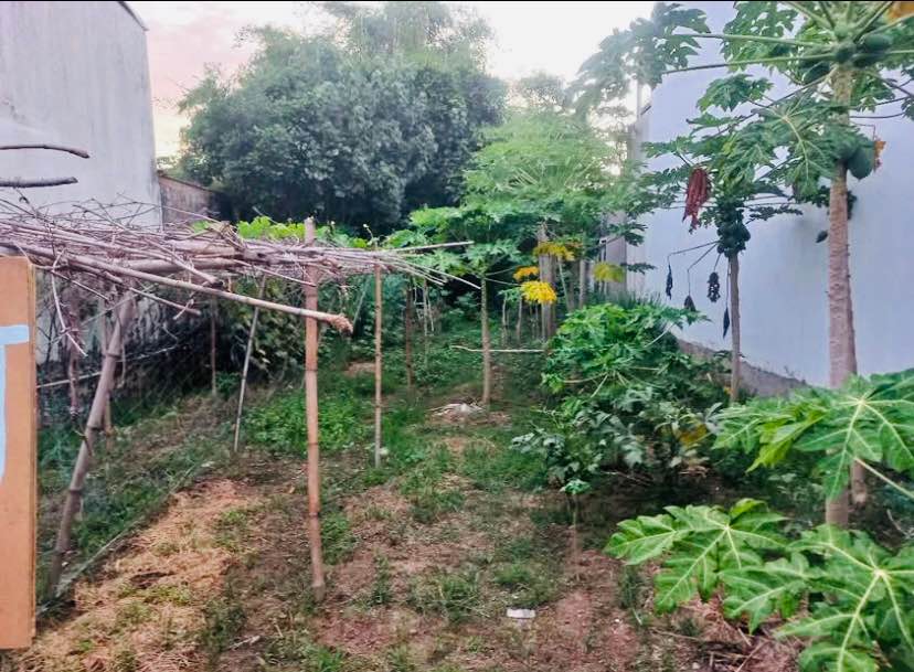 Đất nền tại Tân Hội - Phước Hưng, Tuy Phước 90m² giá chỉ 4xx triệu - Đầu tư sinh lời ngay!