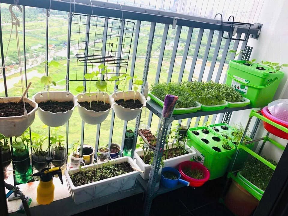 Căn hộ 1PN+1 Yên Nghĩa Hà Đông 48m² giá 3 tỷ - View siêu thoáng, cơ hội đầu tư tốt!