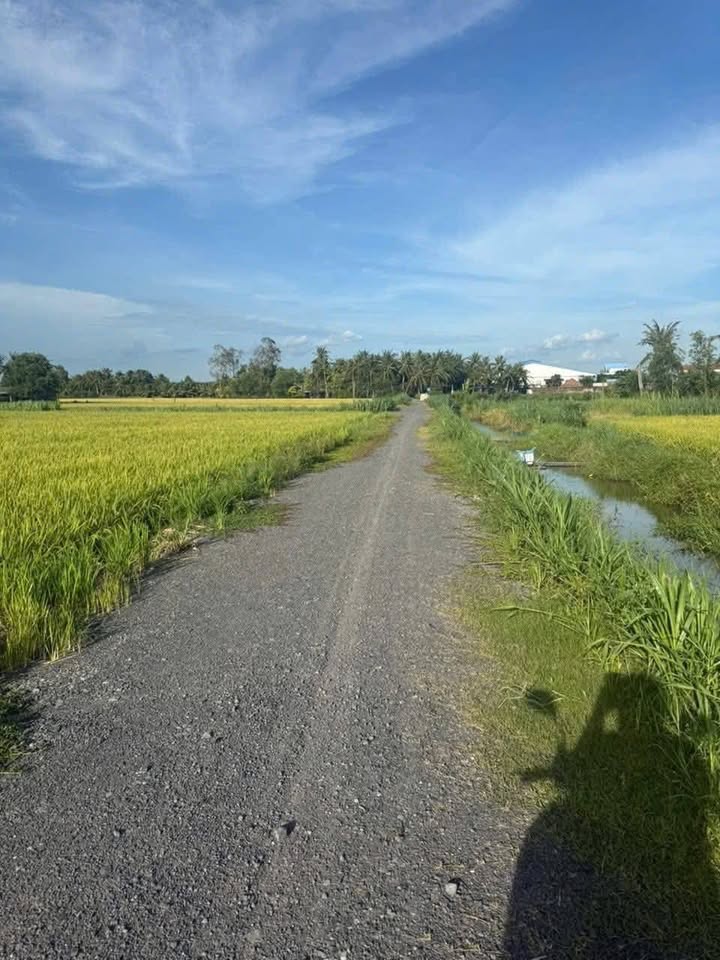 Đất Ruộng Thạnh Trị Gò Công Tây 2740m² giá 2.74 tỷ - Sẵn sàng thương lượng!