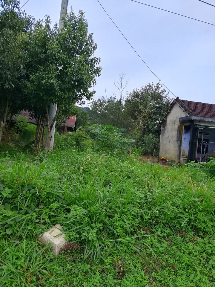 Đất nền thổ cư 360m² tại xã Đăk Nông, tỉnh Kon Tum - Pháp lý rõ ràng, giá thỏa thuận!