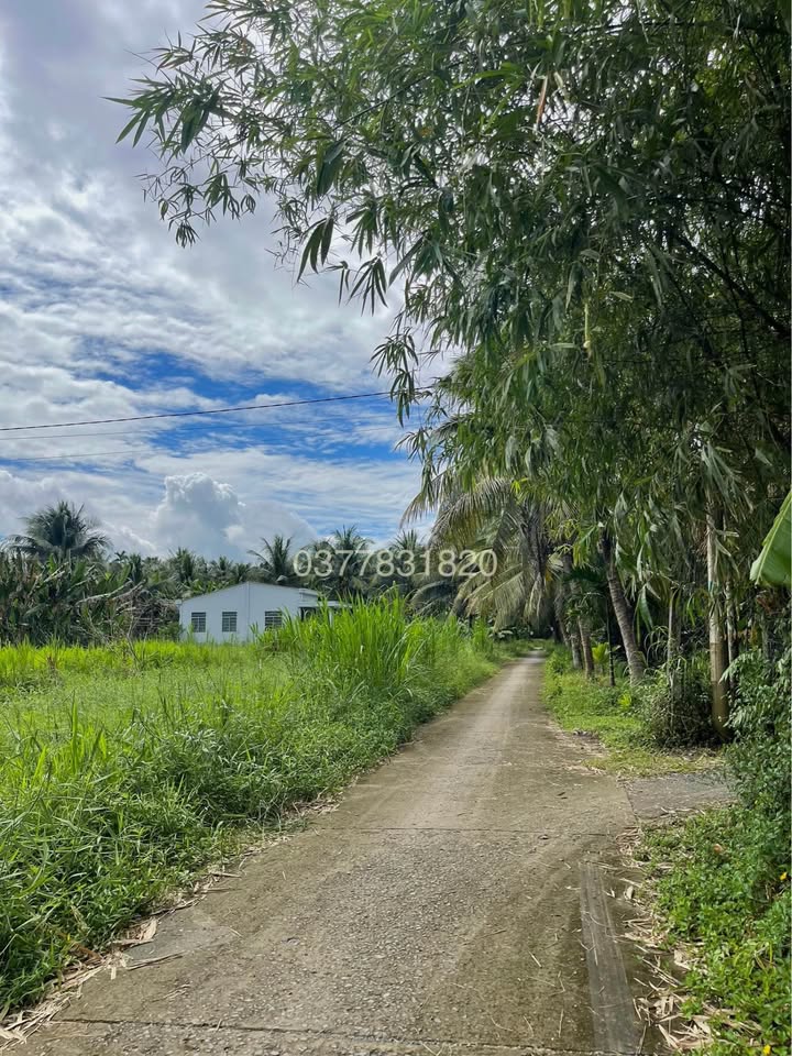 Đất mặt tiền đường Dal 2010m² tại Nguyệt Hóa - Giá chỉ 2 tỷ thương lượng!