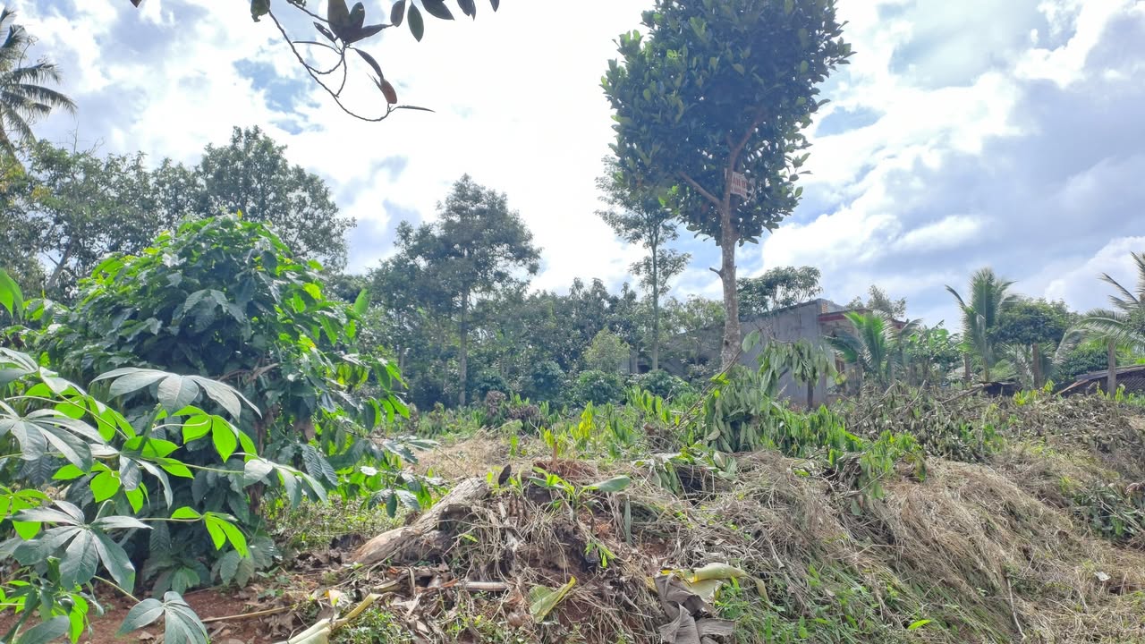 Đất nền Cư Pơng, Krông Buk 230m² giá 750 triệu - Sổ đỏ chính chủ ngay!