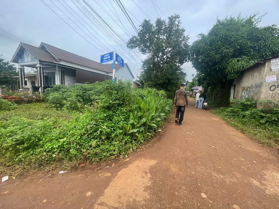 Đất nền 300m² tại đường D9, phường Tân An, giá chỉ 2.45 tỷ - Đầu tư sinh lời ngay!