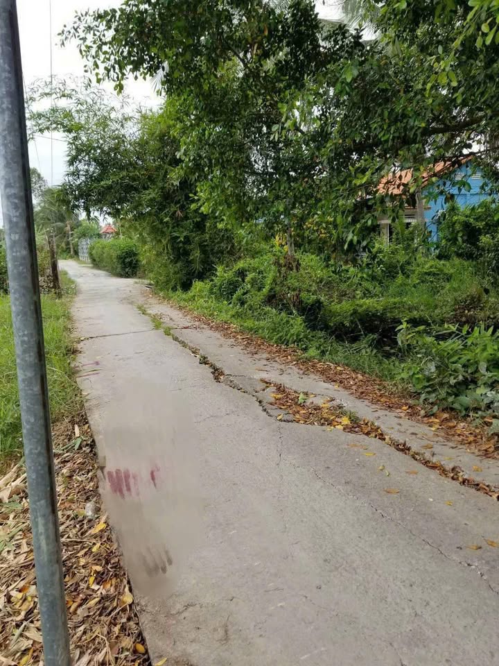 Đất thổ cư mặt tiền Đan, xã Mỹ Phú, Thủ Thừa 144m² giá chỉ 450 triệu - Sổ hồng chính chủ!