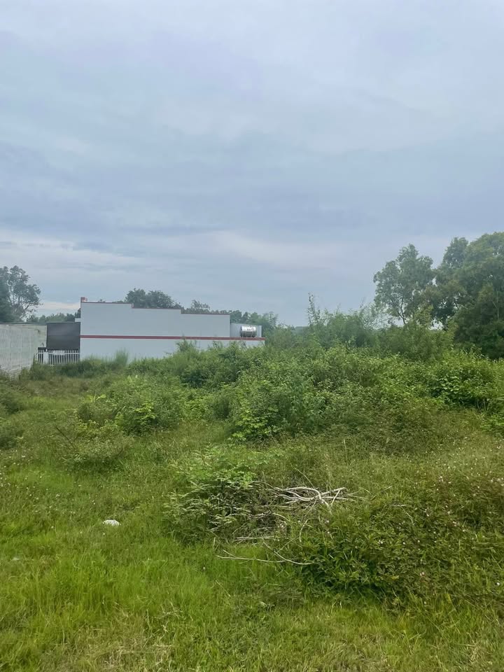 Đất thổ cư mặt tiền đường Nguyễn Bỉnh Khiêm, phường Tân An, 143m² giá 7.8 tỷ - Đầu tư sinh lời ngay!