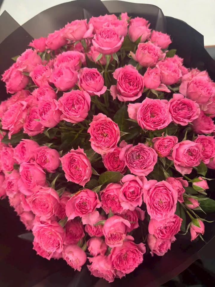 Lô đất 180m² mặt tiền đường Trường Thi, quận Hải Châu - Vị trí hiếm có cho đầu tư!