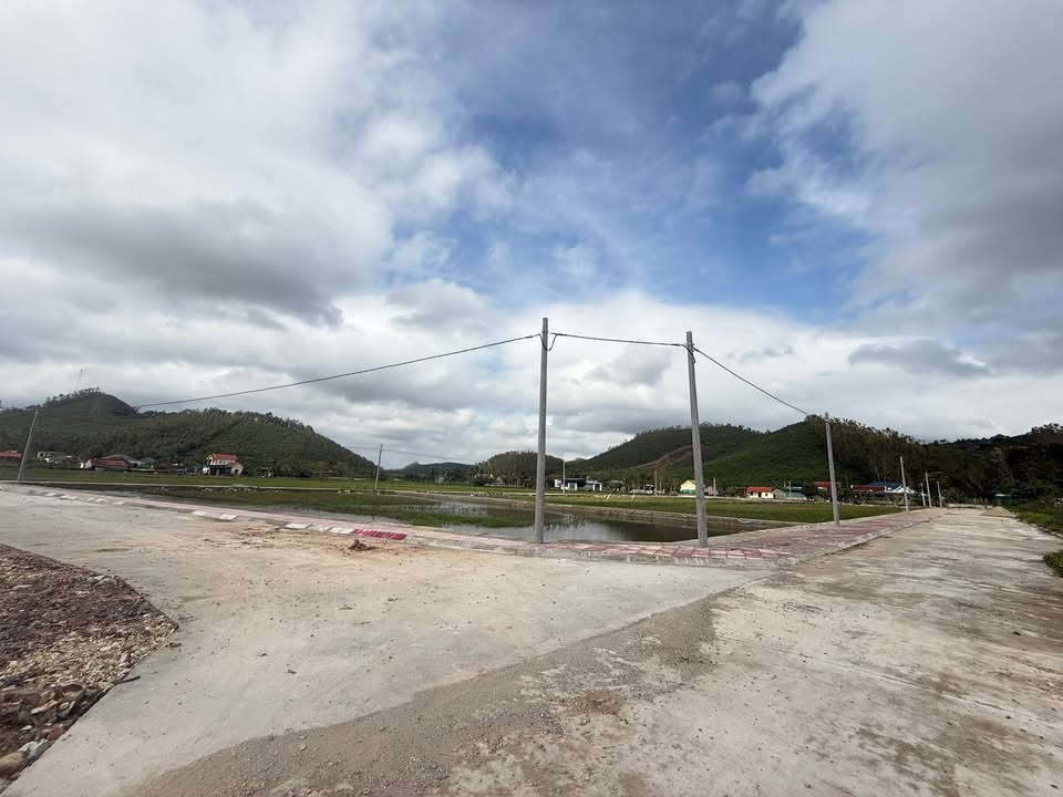 Đất nền Yên Thành 232.5m² giá tốt - Cần bán gấp cho khách hàng thiện chí!