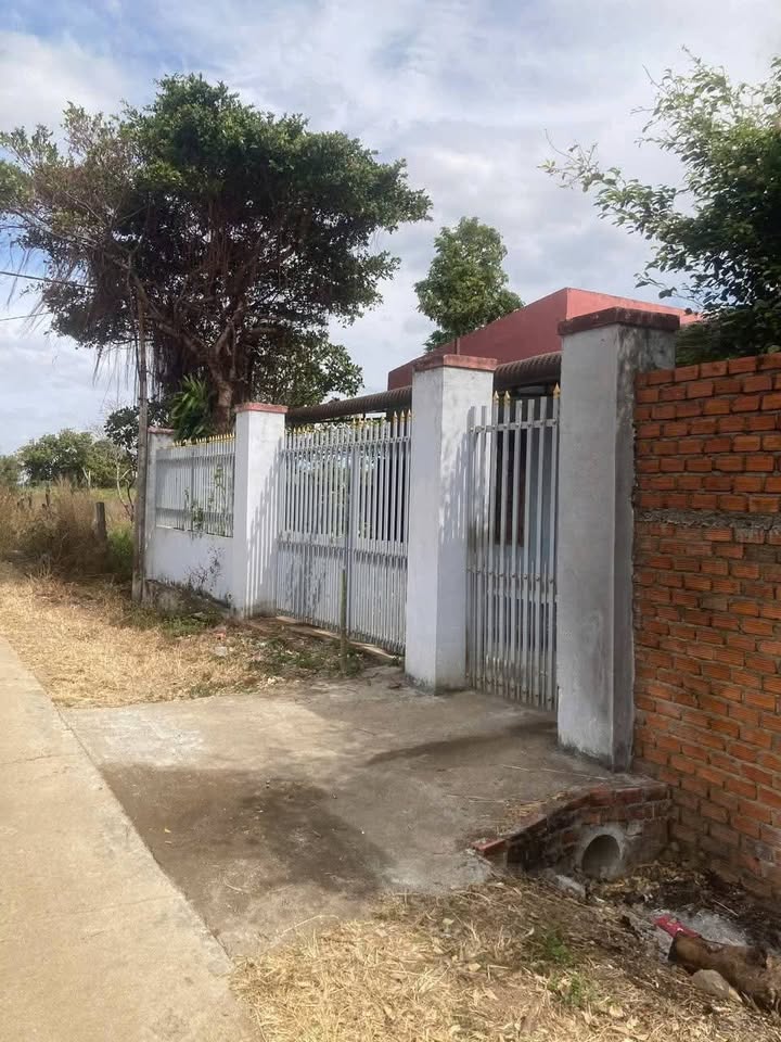 Đất nền mặt tiền đường bê tông tại xã Ea Nuôl, Đắk Lắk - Chỉ 299 triệu/lô!