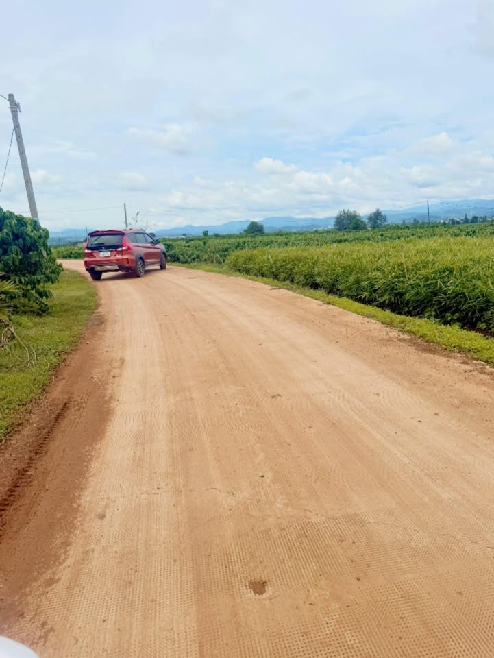 Đất nền Tân Hội Đức Trọng 145m² giá 470 triệu - Đầu tư sinh lời ngay!