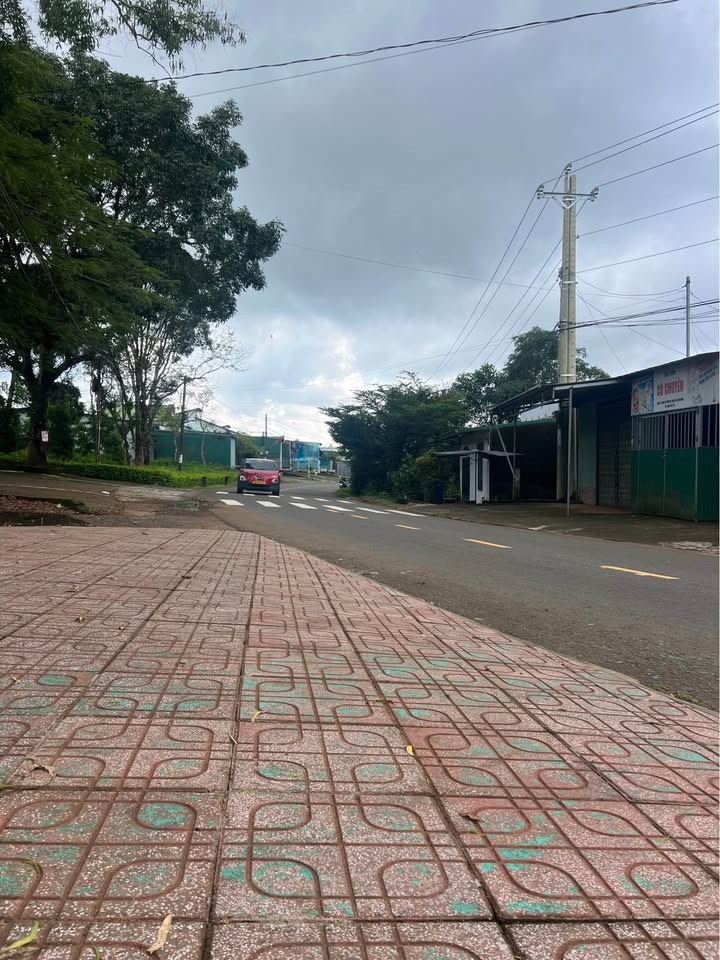 Đất thổ cư Bảo Lộc 2222m² giá 6.5 tỷ - Mặt tiền đường Lý Thái Tổ