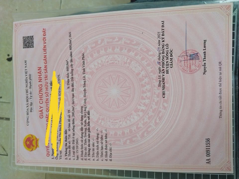 Đất nền thôn Trường Xuân, xã Yên Lãng 600m² giá chỉ 3 tỷ - Đầu tư sinh lời ngay!