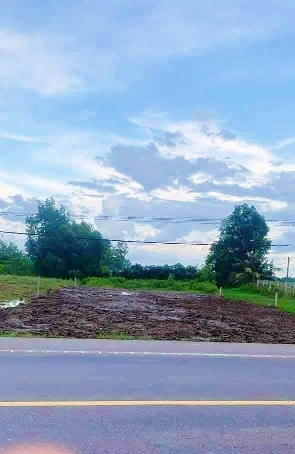 Đất mặt tiền Quốc lộ 1A, xã Thạnh Phú, 100m² - Giá tốt, vị trí đắc địa!