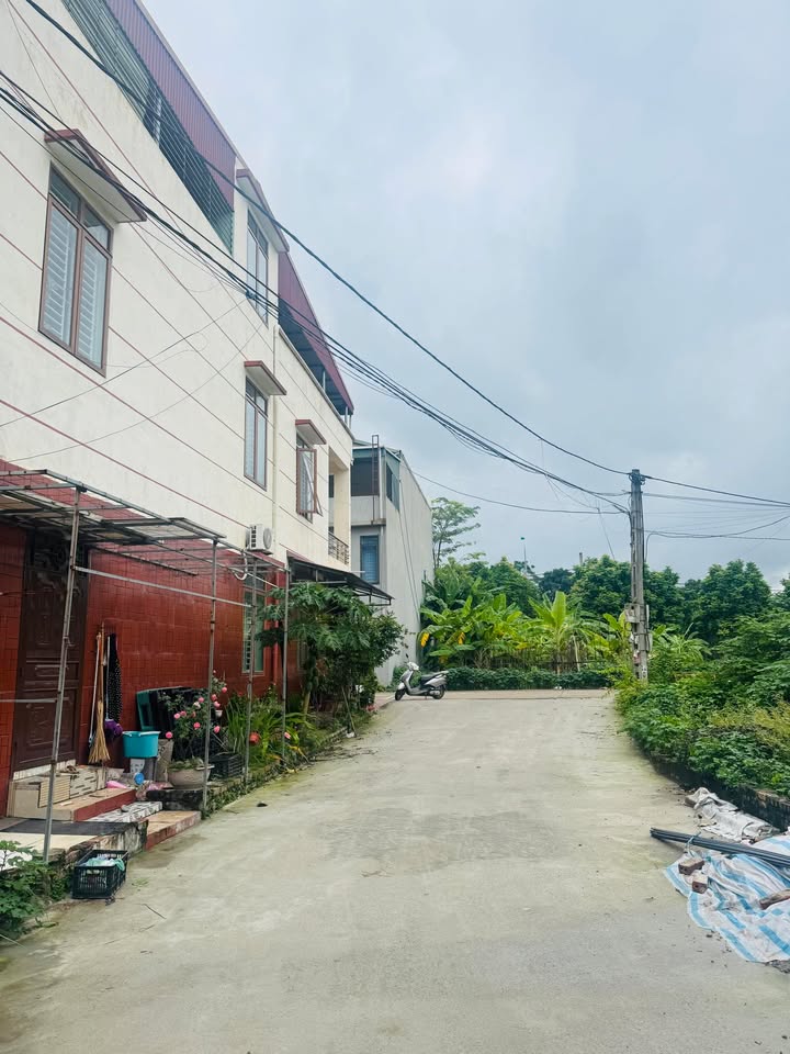 Đất nền Đồi Măng, Thanh Miếu 75,3m² giá 3 tỷ - Đầu tư sinh lời ngay!