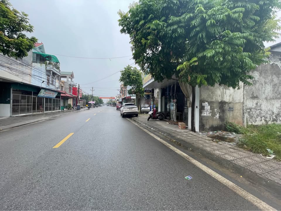 Đất nền kinh doanh Tiền Hải 116m² giá cực tốt - Tiềm năng sinh lời cao!