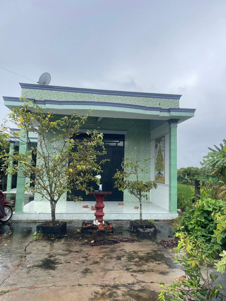 Nhà vườn tại Quê Mỹ Thạnh, 3783m² giá 3.95 tỷ - Cơ hội đầu tư tuyệt vời!