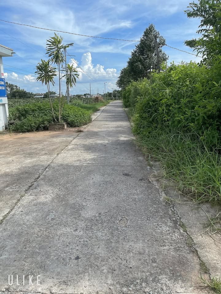 Nhà cấp 4 Vĩnh Công Châu Thành 690m² giá 2 tỷ - Chính chủ cần bán gấp!