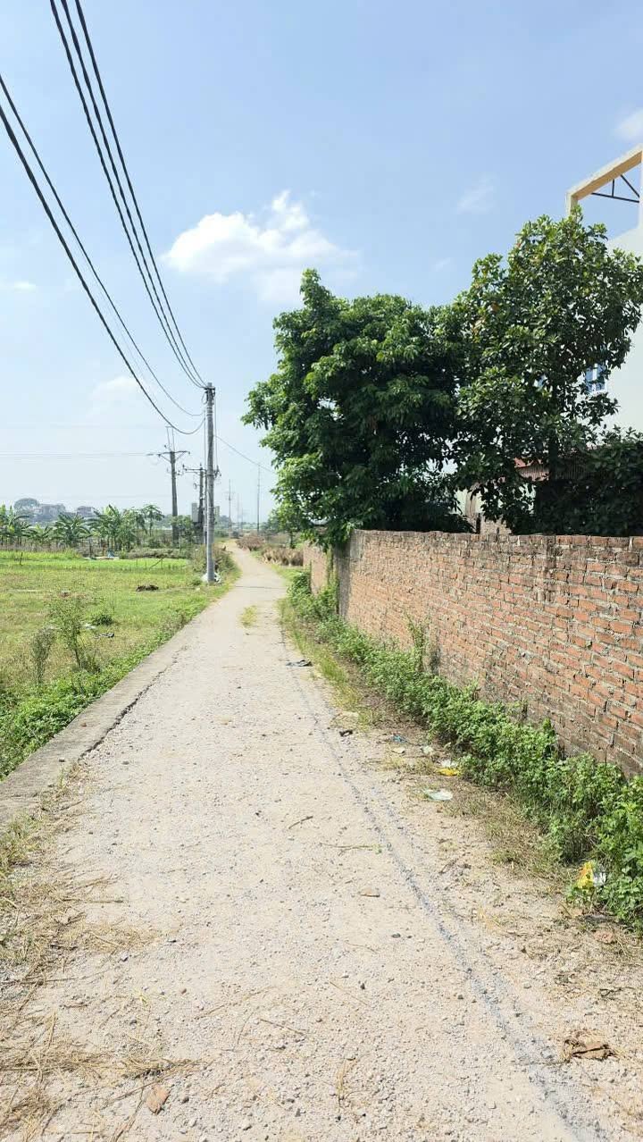 Đất lô góc Ngô Đồng 100m² giá chỉ 5 triệu/m² - Đầu tư sinh lời chắc chắn!