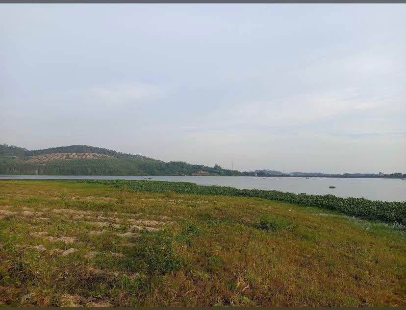 Đất Farm Vân Trục 1321m² giá 14 tỷ - View hồ trong xanh tuyệt đẹp!