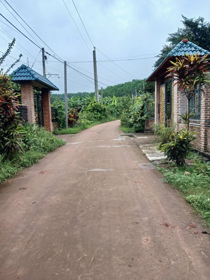 Đất nền Vĩnh Tân, Vĩnh Cửu, Đồng Nai 270m² - Sổ đỏ chính chủ!