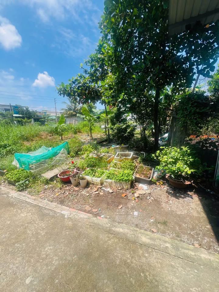 Đất nền khu phố 4 Trảng Dài 80m² giá chỉ 790 triệu - Cơ hội đầu tư hấp dẫn!