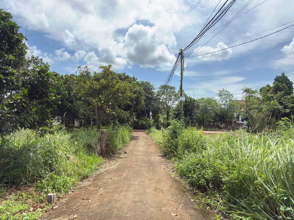 Lô đất Phùng Hưng, Ea Tam 90m² giá 1.53 tỷ - Đầu tư sinh lời tiềm năng!