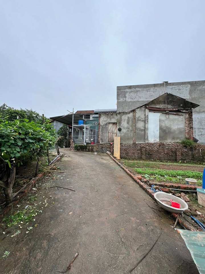 Đất nền Hát Môn Phúc Thọ 100m² giá chỉ 20 triệu/m² - Cơ hội đầu tư không thể bỏ qua!