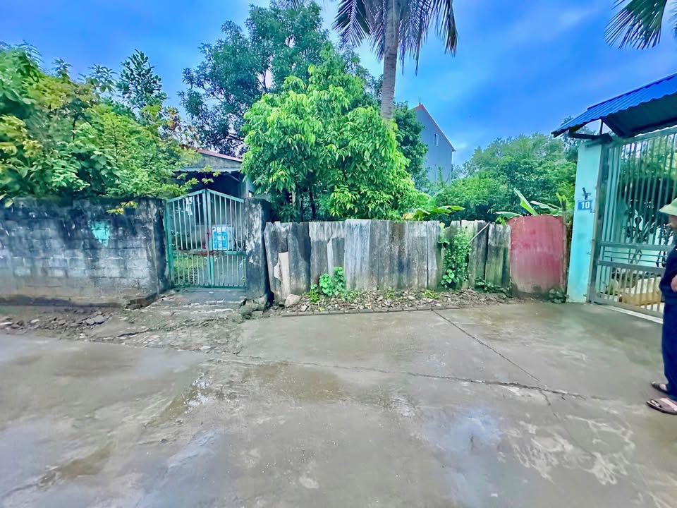 Đất Phú Xá 184m² chỉ 1.2 tỷ - Cơ hội đầu tư hấp dẫn!