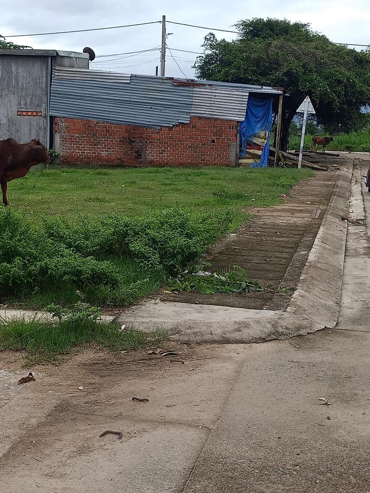 Đất nền khu dân cư Bình Hòa Ayun Pa 140m² - Đầu tư sinh lời hấp dẫn!