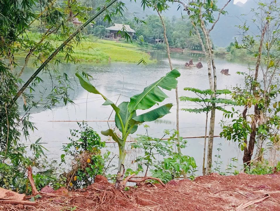 Đất nền Phú Vinh Tân Lạc 2138m² giá 1.45 tỷ - Cơ hội đầu tư tuyệt vời!