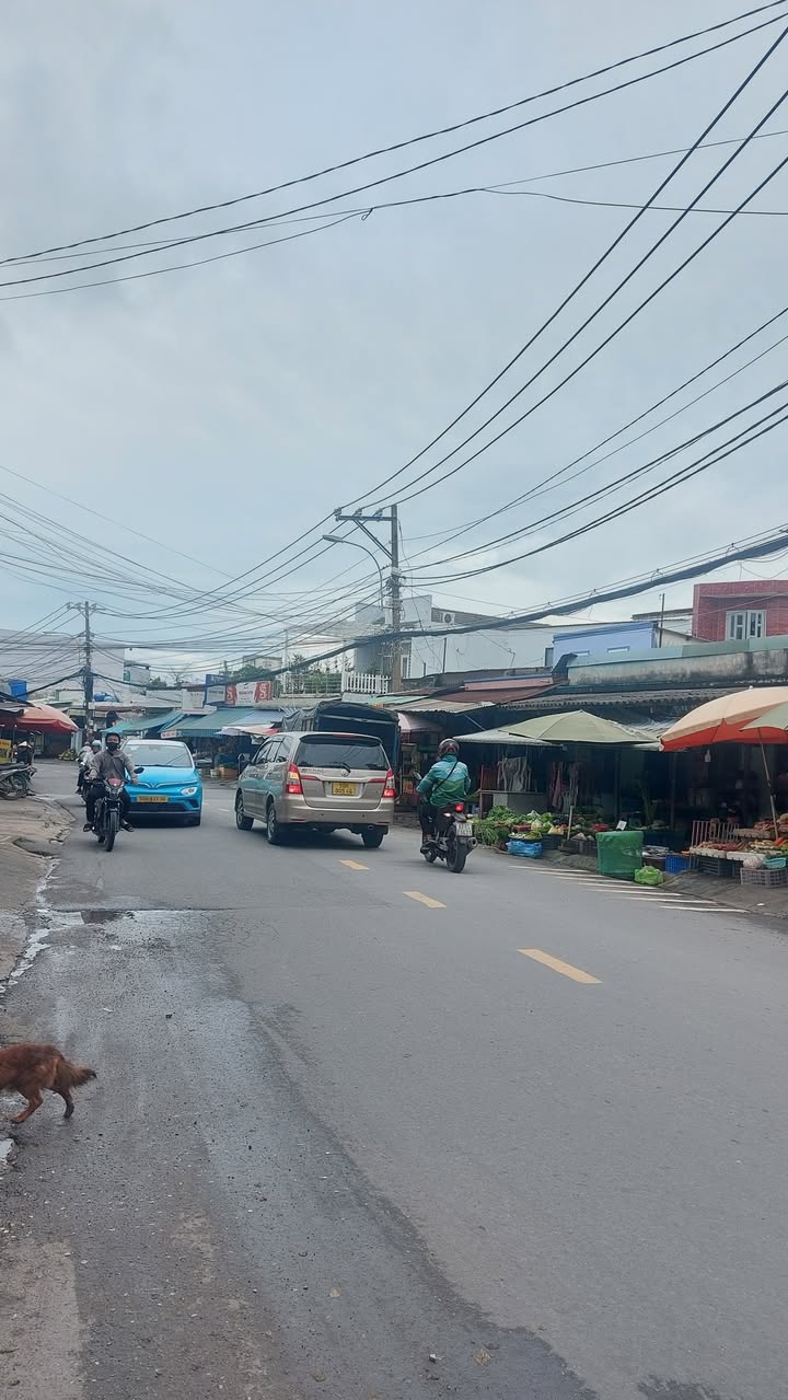 Đất nền Tăng Phú Q9 98m² giá 7.75 tỷ - Cơ hội đầu tư tuyệt vời!