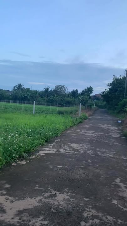 Đất nền Xuân Lộc 155m² giá chỉ 600 triệu - Sổ đỏ chính chủ!