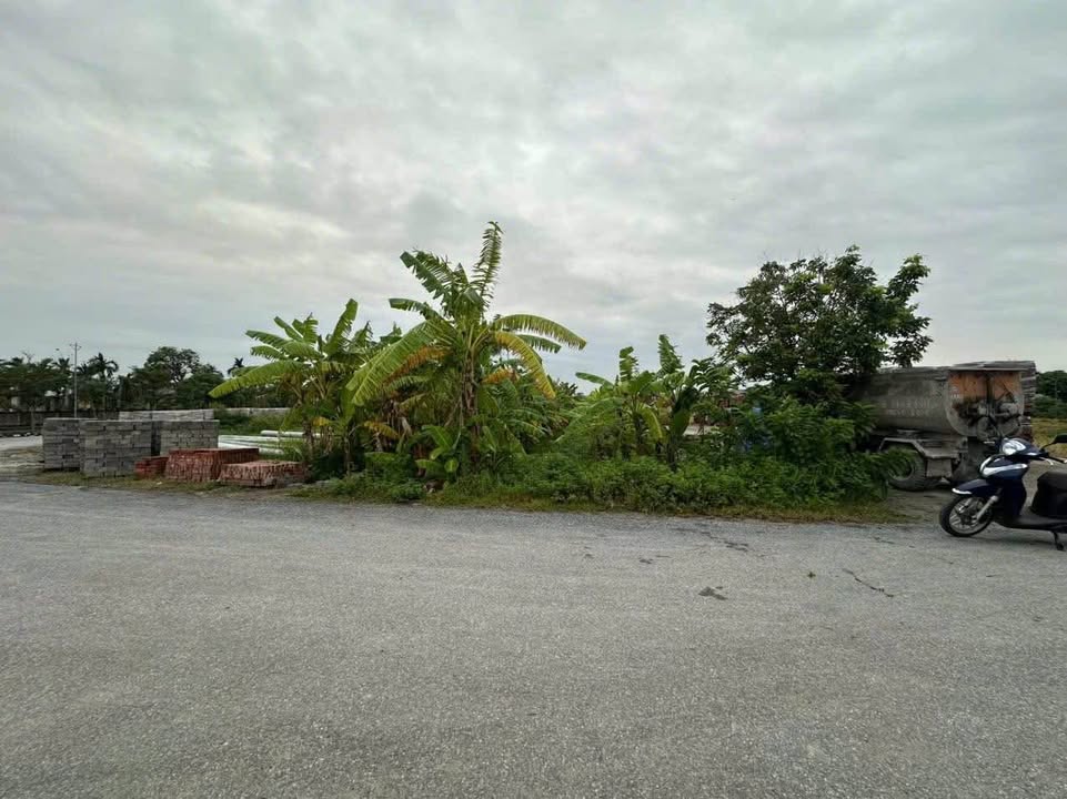 Đất thổ cư thôn Cẩn Du, xã Châu Sơn, huyện Quỳnh Phụ 131m² - Lô góc 2 mặt tiền giá chỉ 1.5 tỷ!