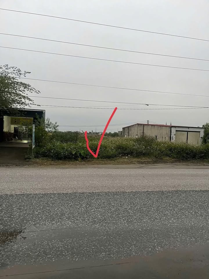 Đất nền Thái Thọ, Thái Thụy, Thái Bình 100m² giá 1 tỷ - Kinh doanh tốt ngay cụm công nghiệp!