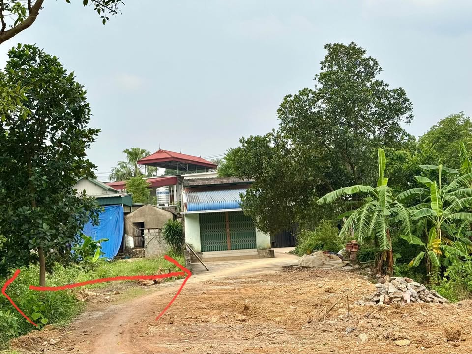 Đất mặt đường Hồ Chí Minh, Hà Đông 160m² giá 1.6 tỷ - Vị trí kinh doanh đắc địa!