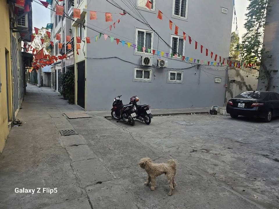 Đất nền Vĩnh Hưng, Hoàng Mai 40m² giá 1.63 tỷ - Sổ đỏ chính chủ, Ô tô vào tận nơi!