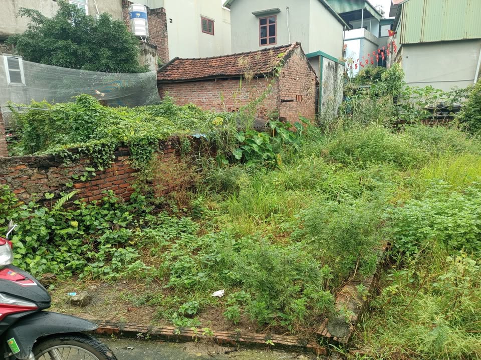 Đất nền 70m² tại Đa Tốn, Gia Lâm - Mặt tiền 4m, ô tô vào tận nơi giá 5.3 tỷ