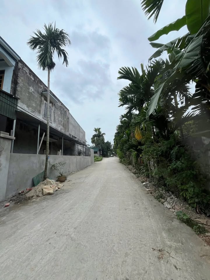 Đất thổ cư Kim Phú 225m² giá 36 tỷ - Cần thanh khoản gấp!