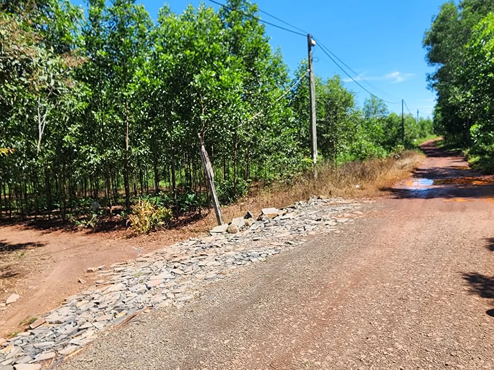 Đất nền Trị An, Trảng Bom 1500m² - Sổ đỏ chính chủ, giá chỉ 1.45 tỷ!