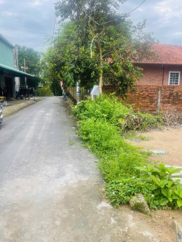 Đất nền Mỹ Quý - Long Xuyên 116.9m² - Giá tốt, mặt tiền nhựa!