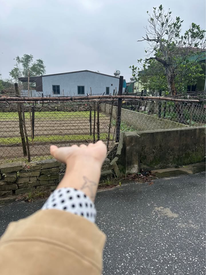 Đất nền Hoàng Kim Giao, TP Vinh 77m² giá 2.5 tỷ - Đầu tư sinh lời hấp dẫn!