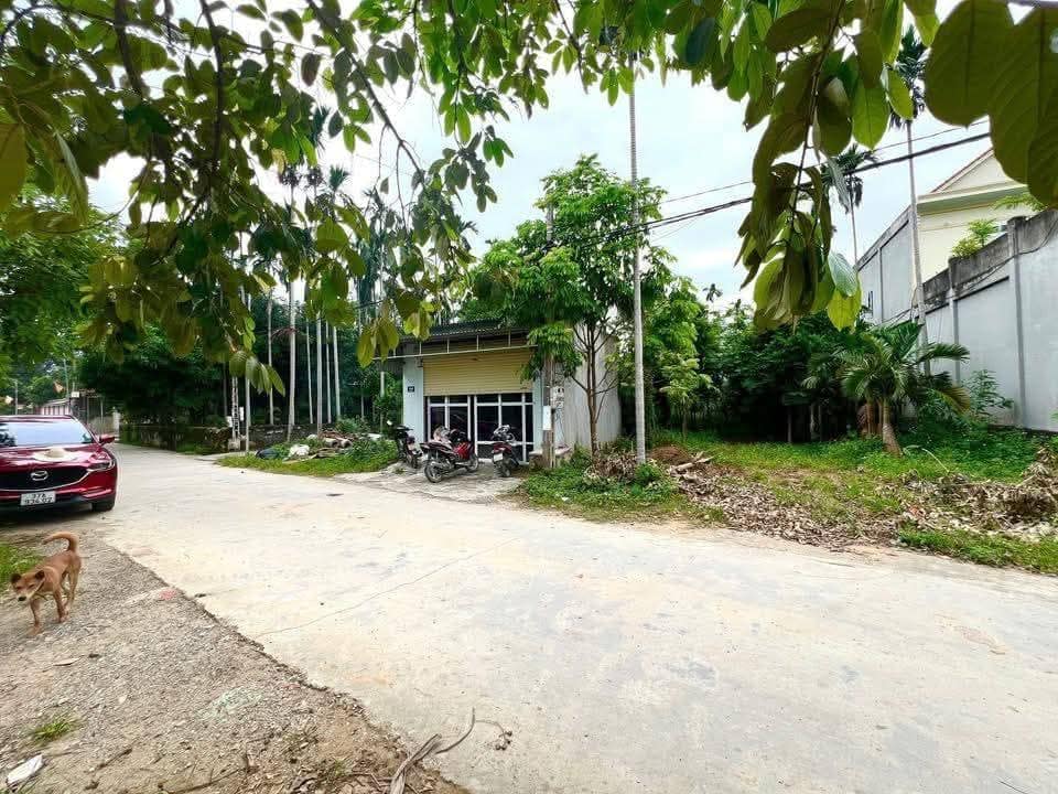 Đất nền chính chủ Thôn 3, Quỳnh Vinh 150m² giá 1.7 tỷ - Vị trí đắc địa, thuận tiện giao thông!