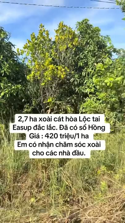 Lô đất Farm 2,7 ha tại xã Ia Lốp, Ea Súp giá 1,2 tỷ - Đầu tư sinh lời ngay!