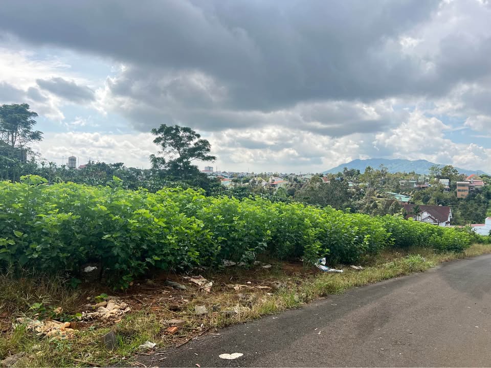 Đất liền kề Hẻm 01 Trần Qúy Cáp, Bảo Lộc 200m² giá chỉ 2.1 tỷ - Cơ hội đầu tư tuyệt vời!